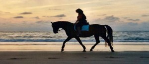 Bij Manege Duno kunt u op bosrit, strandrit of combirit op een van onze vele paarden of pony's. Ook kunt u wandelen met Shetlandpony's.